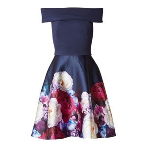 BN Ted Baker Nersi Blushing Bouquet Bardot Dress